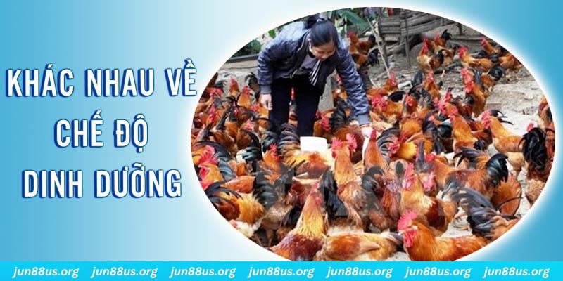 five8 xổ số thứ sáu hàng tuần