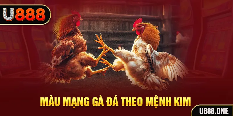 five8 gà chọi tiêu phong