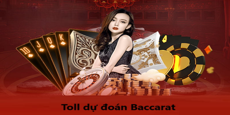 five8 gà chọi hoà phong