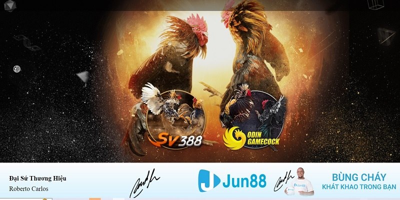 five8 xổ số miền nam hàng tuần