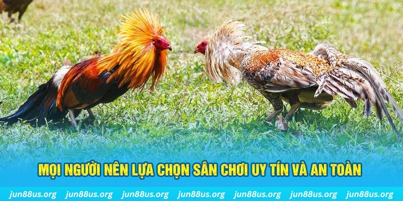 five8 hơn cả bạn bè