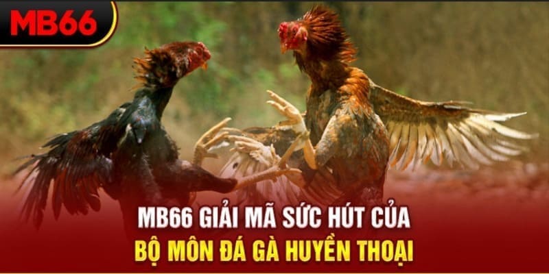 five8 long bảo trong baccarat là gì