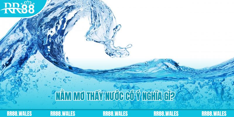 five8 đá gà trực tiếp thomo