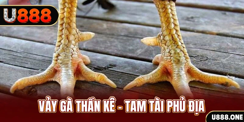 five8 xổ số 30 ngày