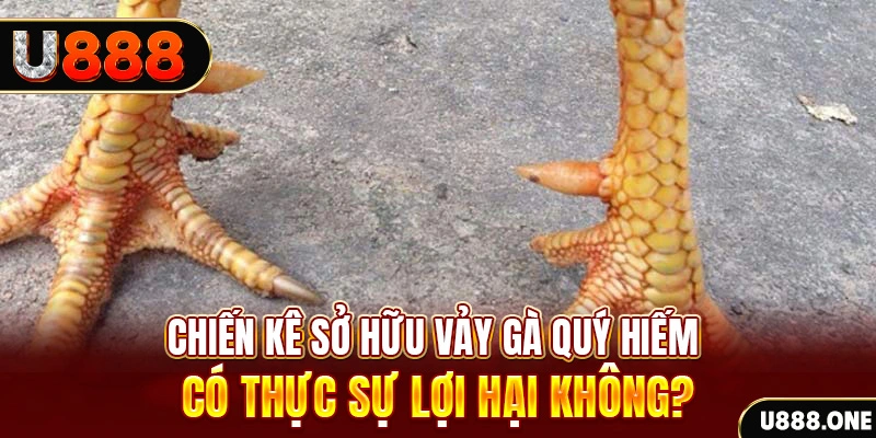 five8 game cá cược máy bay