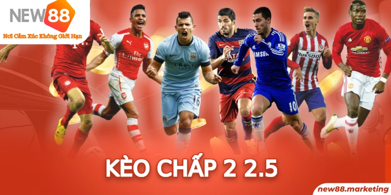 five8 trực tiếp đá gà thomo