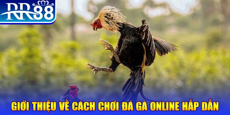 five8 nổ hũ 2 mặt là gì