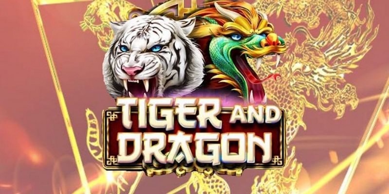 five8 cá cược tiếng anh là gì